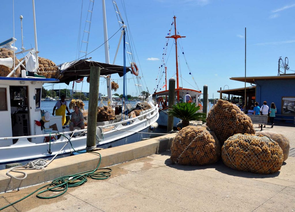 day trip to Tarpon Springs Buffet Beach